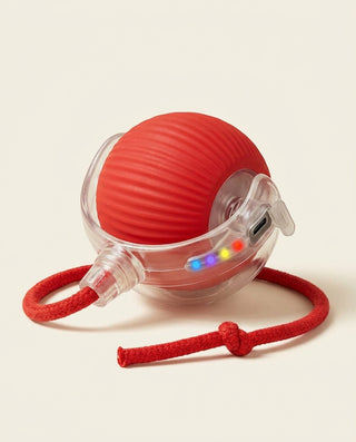 variant:Red product photo