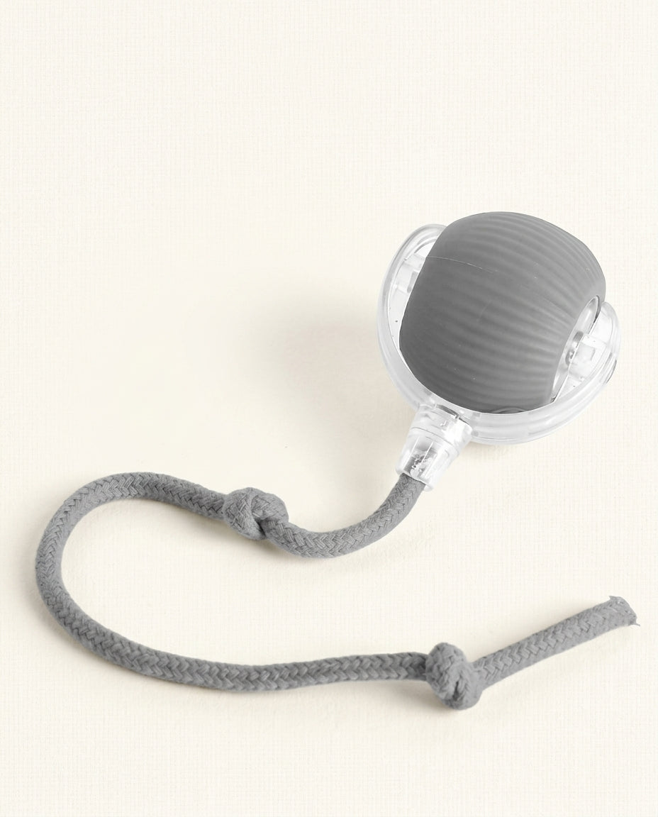 variant:Gray product photo