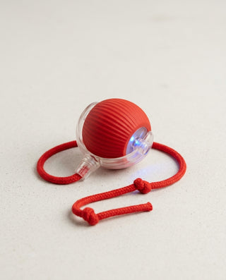 clean product photo