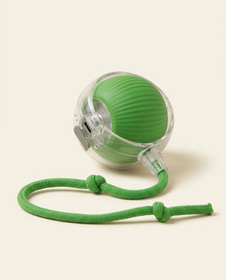 variant:Green product photo