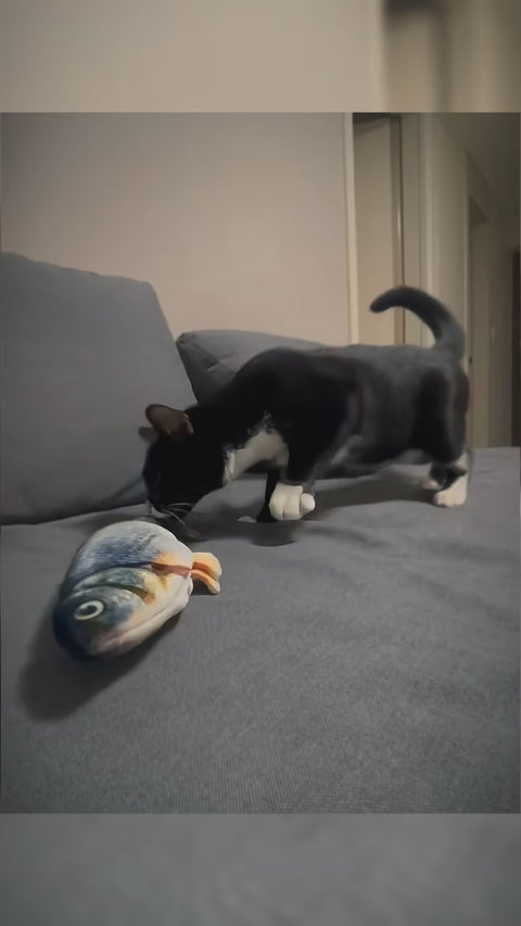 Flopping Fish Interactive Cat Toy